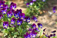 20140426-DSC01100