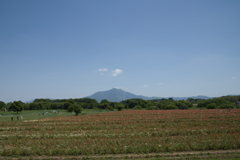 小貝川ふれあい公園