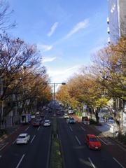 日曜日