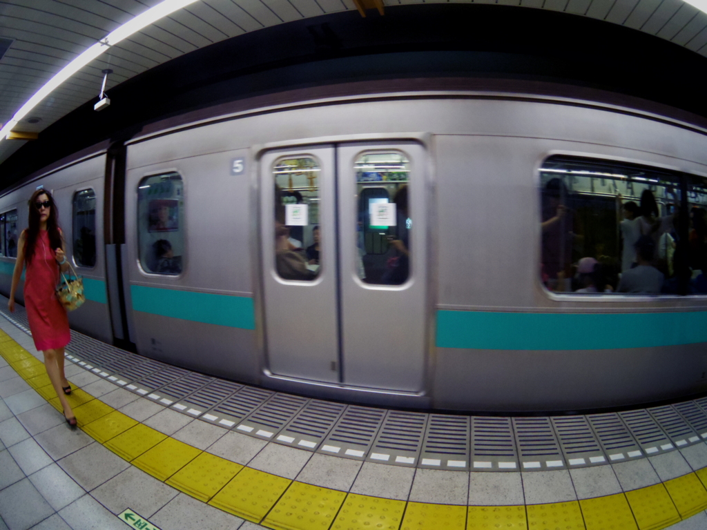 さかなの目
