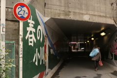 春の小川②