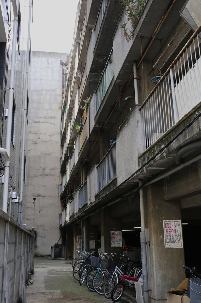 集合住宅