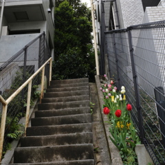 階段②