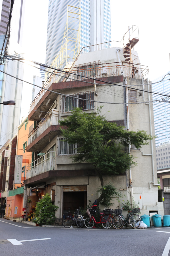 雑居びる