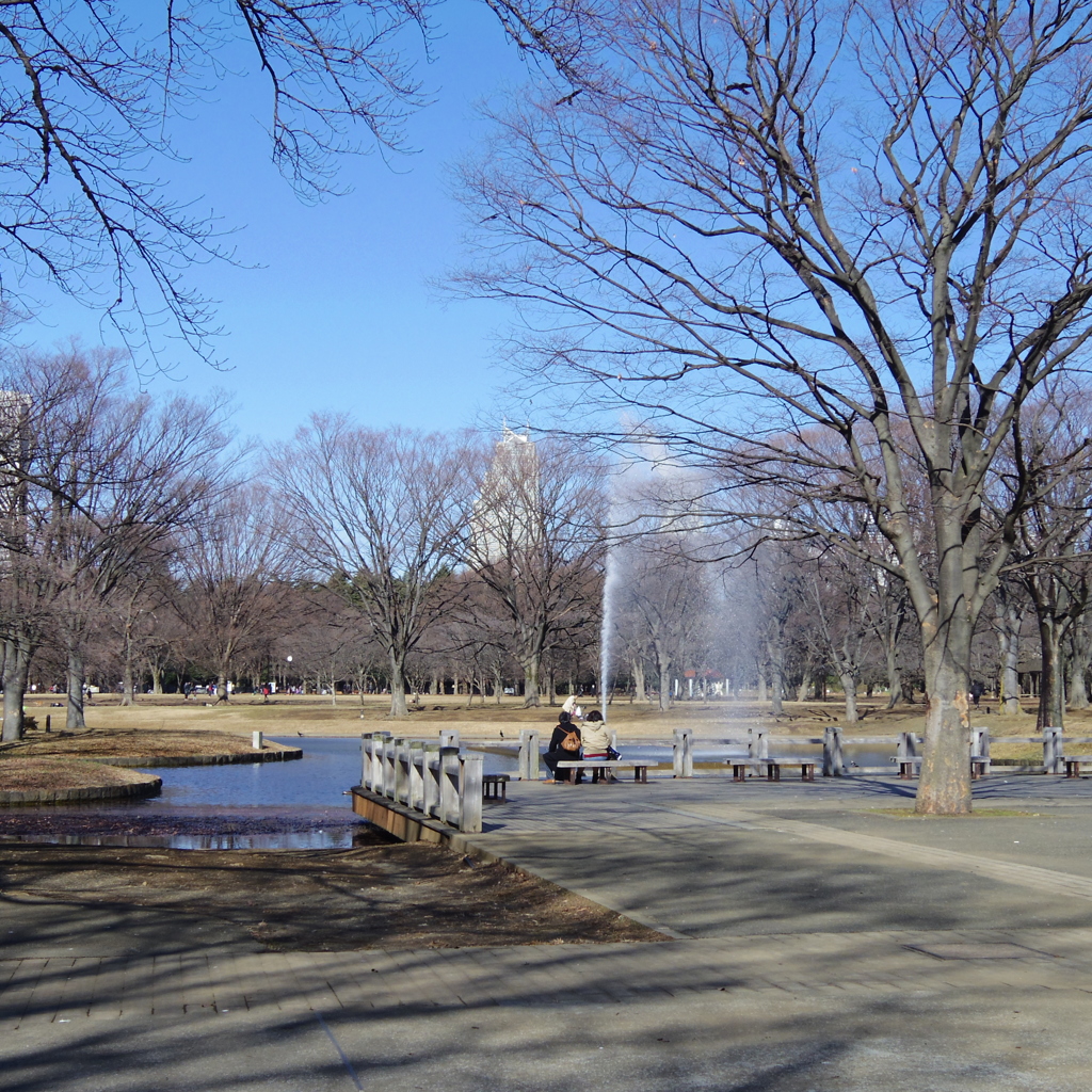 新年２０１３代々木公園