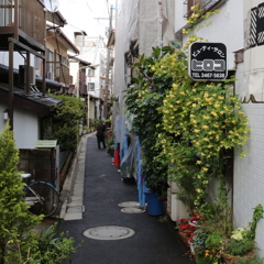 路地②