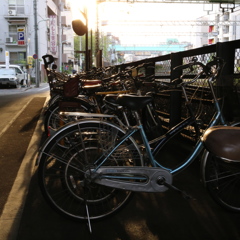主人待ち…