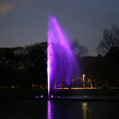 公園のネオン②
