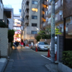 鮮やかな人