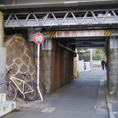 ましかく