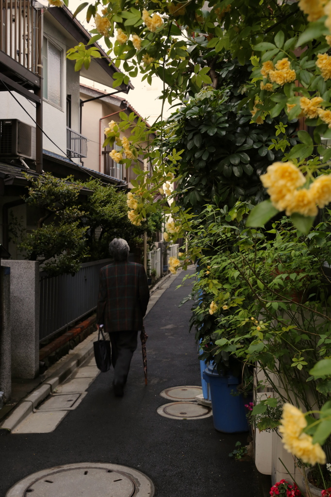 路地①