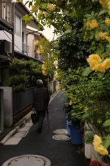 路地①