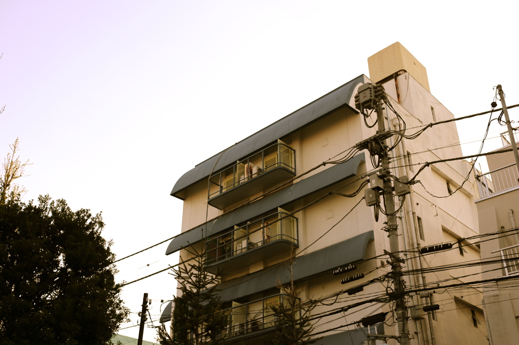 小春日和