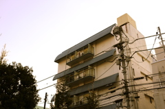 小春日和