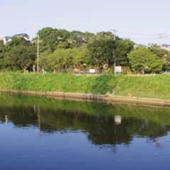 土手