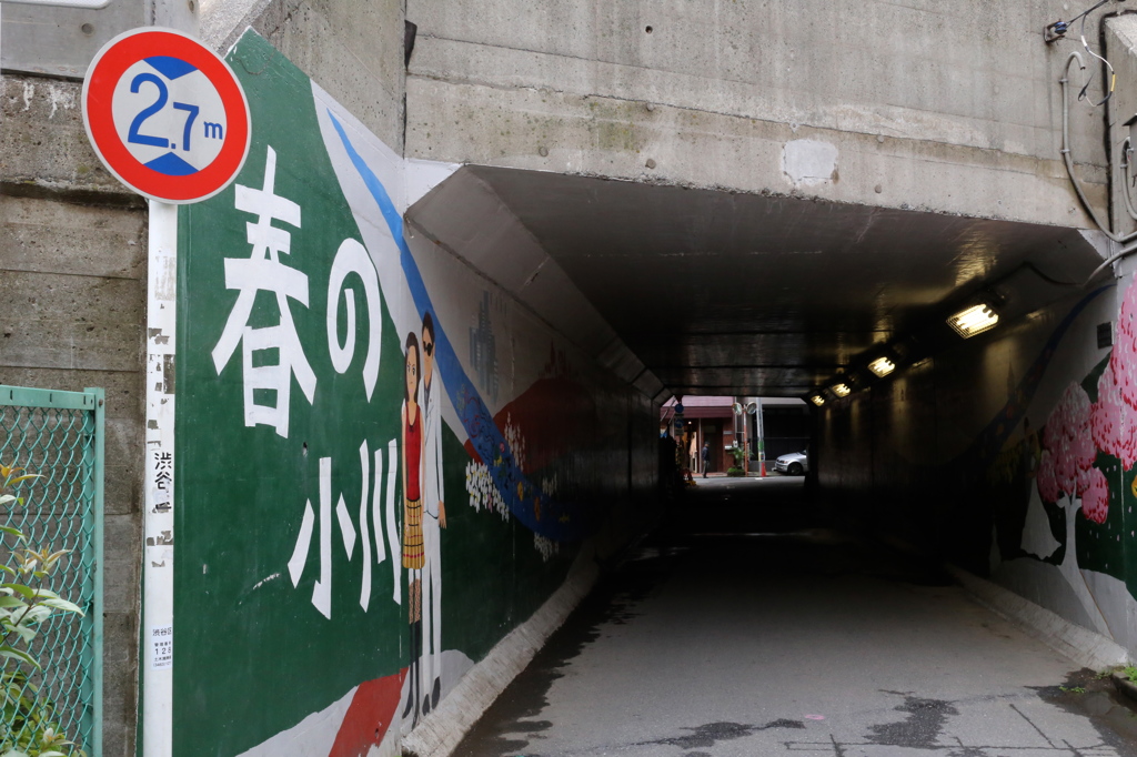 春の小川①