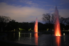 公園のネオン