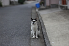 鎌倉の案内人