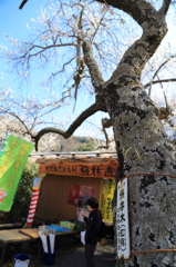 保存