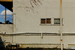 路地