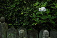 一輪