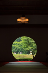 見据える