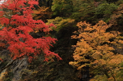 RED×YELLOW