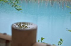 美瑛の青い池