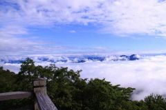 雲海