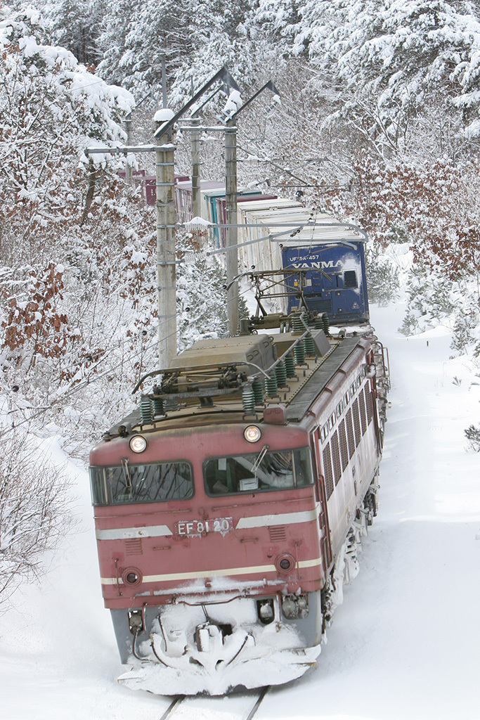 EF81