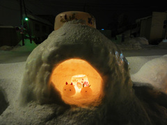 小樽雪あかり2011