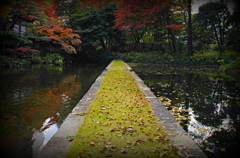 緑の小道