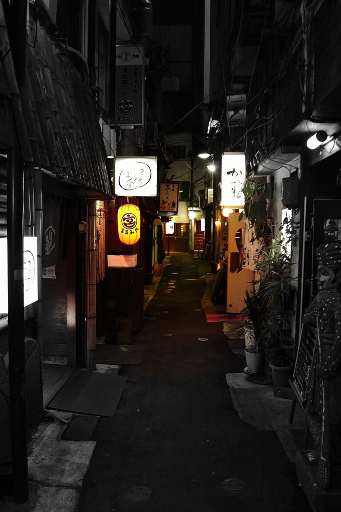 中州の夜