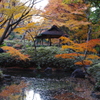 染まる古茶屋