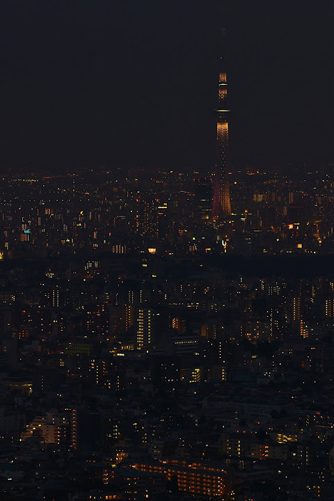 スカイツリー池袋から