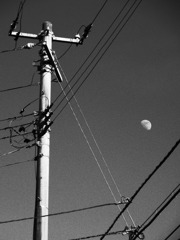 goth1928175