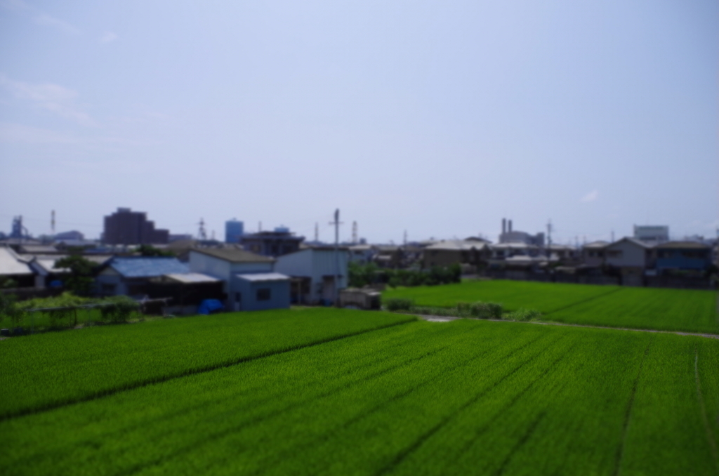 somewhere in Wakayama City 01