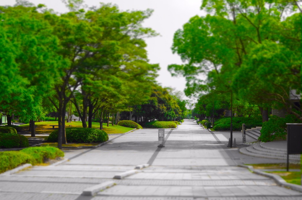Campus of Wakayama Univ. 03