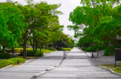 Campus of Wakayama Univ. 03