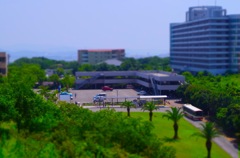 Campus of Wakayama Univ. 01