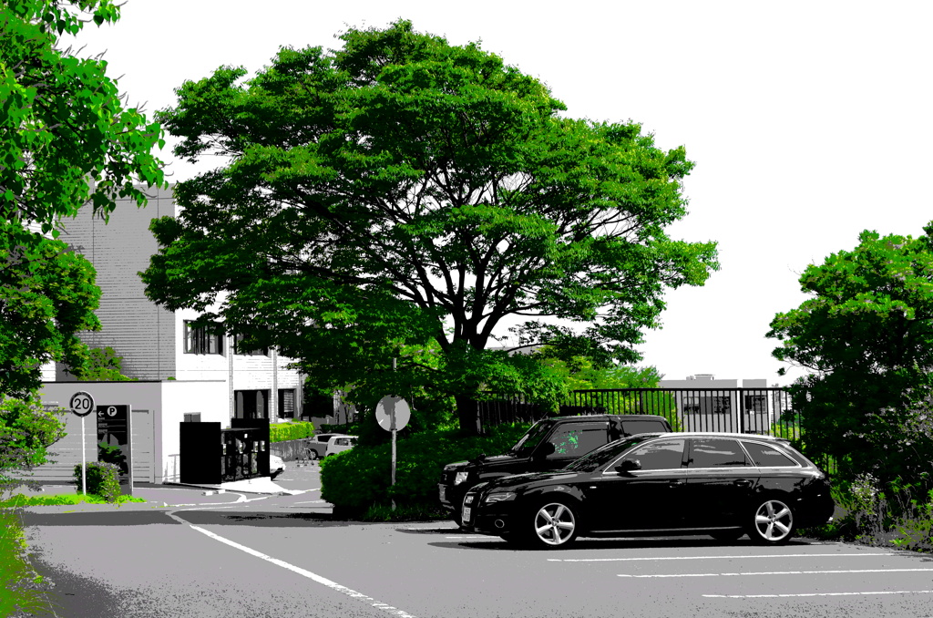 Campus of Wakayama Univ. 02 