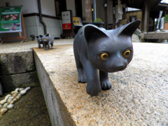 ぞろぞろ