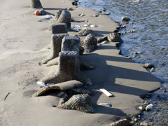 EXILEテトラポット