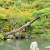 庭園 -緑園-