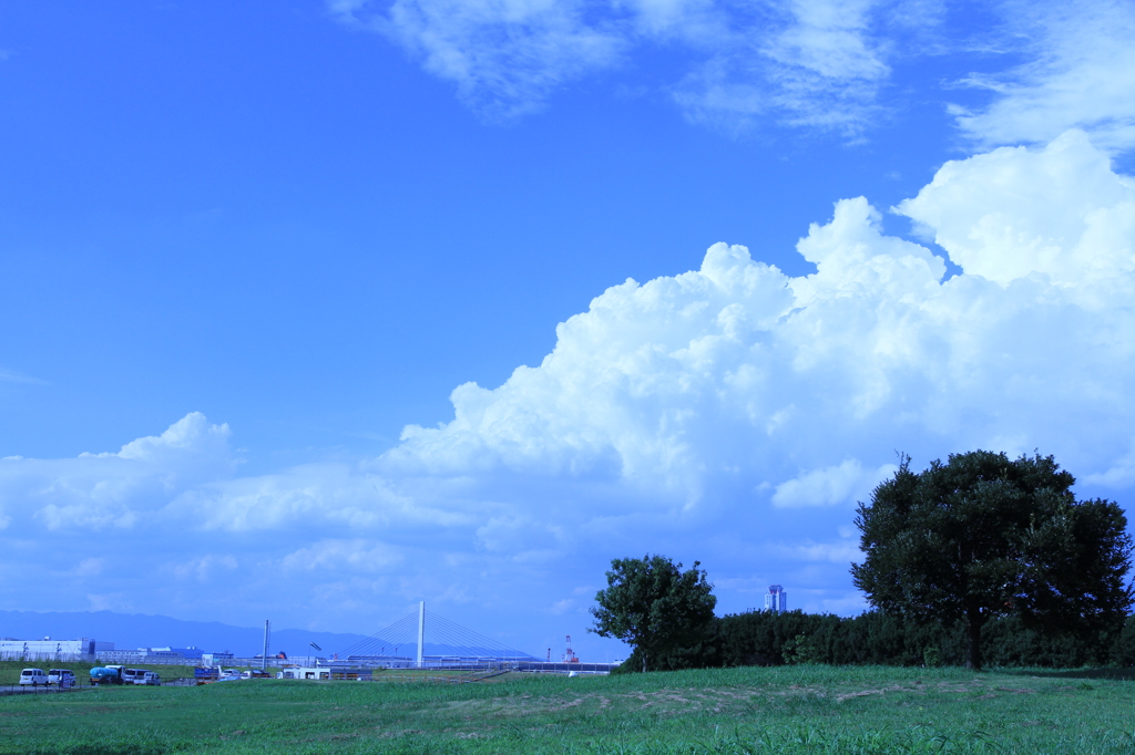 青空でいっぱい
