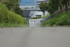 ホフク