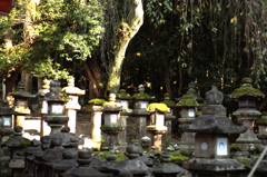 燈篭郡