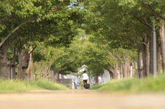 家路へ。