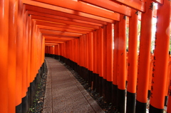 千本鳥居２