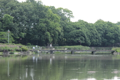 ベンチから対岸へ